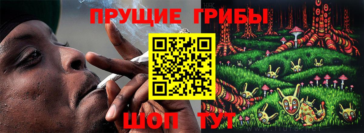 Псилоцибиновые грибы мухоморы  Вход с VPN  наркошоп  Кимры 